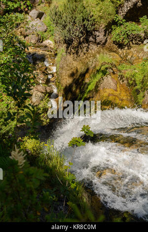 rushing mountain stream - waterfall