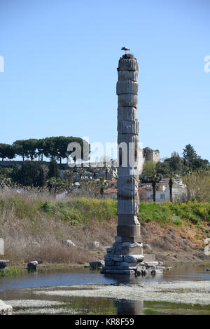 column of artemis temple in selcuk Stock Photo