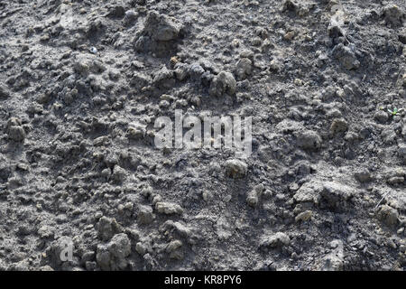 Background from the hardened cement mortar Stock Photo