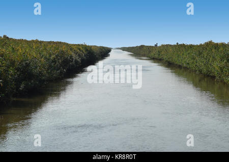 The main irrigation rice fields Stock Photo