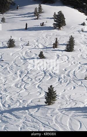 Ski Slope with Fresh Curves Stock Photo