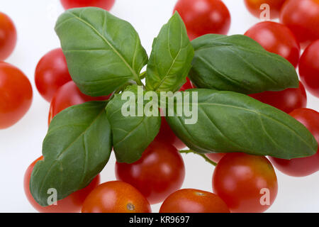 fresh cherry tomatoes with basil, on white background Stock Photo