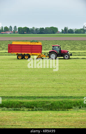 Tractor pulling a Forage wagon and collecting cutted hay silage into a self-loading silage wagon in a Dutch polder. Logos and trademarks are removed. Stock Photo