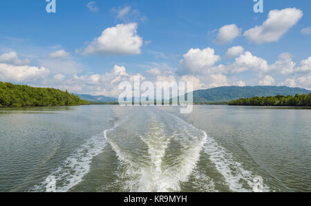 Mangrove forest in Phang Nga Bay National Park, Thailand Stock Photo