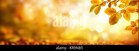 yellow autumn leaves decorate a wide blurred background from glinting lights in the forest Stock Photo