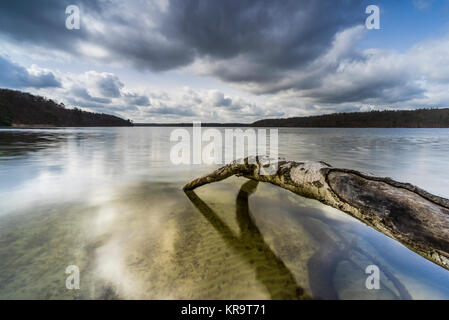 fallen trees on the edge of a lake with reflection of the beautiful clouds in the water Stock Photo