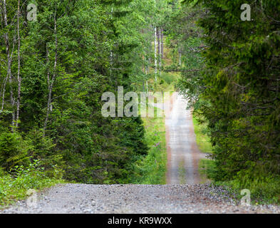 A gravel road through the hilly Nordic countryside. Trees both sides, forests. Stock Photo