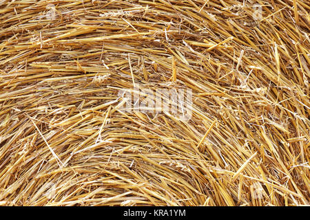 sun haystack background Stock Photo