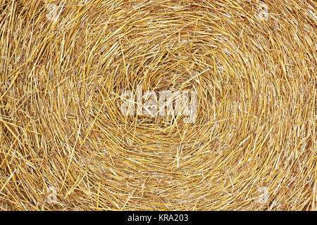 swirl of hay Stock Photo