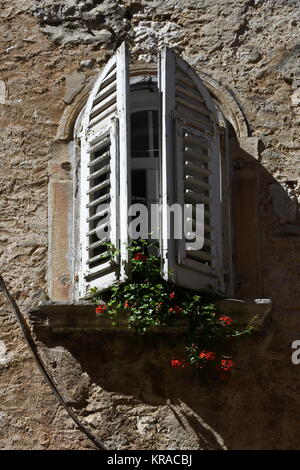 porec,parenzo,parenz,window,shutter,wall,house wall,facade Stock Photo