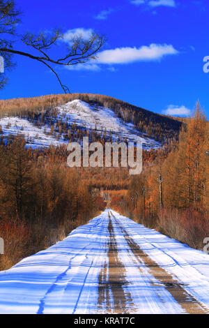 Winter forests of Greater Khingan Range,Heilongjiang Province,China Stock Photo