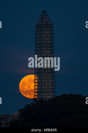 AB-679 A SUPERMOON RISES BEHIND THE WASHINGTON MONUMENT IN 2013-8X10 PHOTO 