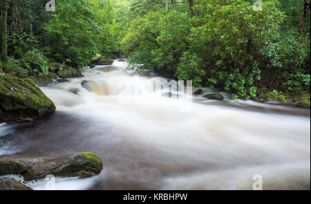 Rapids on the Torc river below the famous Torc Waterfall in Ireland's Killarney National Park. Stock Photo