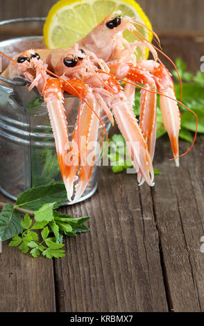 Raw langoustine in a bucket with herbs Stock Photo