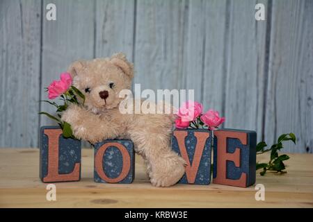 white teddy bear lies on cubes with the word love and pink roses Stock Photo