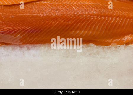 Fresh salmon fillet on ice. Stock Photo