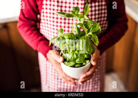 Senior man preparing food in the kitchen. Stock Photo