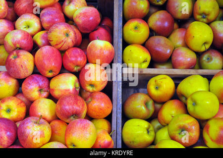 A variety of different types of apple displayed for sale at a stall on borough market in Southwark, london. Apples for eating in a colourful display. Stock Photo