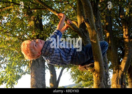 little blond boy hangs on a thick branch on the tree Stock Photo