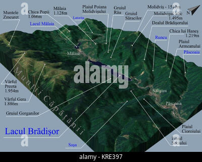 Harta 3D pentru Lacul Bradisor si Malaia de pe Raul Lotru, Romania Stock Photo