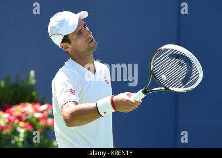 NEW YORK, NY - AUGUST 24: Novak Djokovic is sighted practicing on Arthur Ashe Stadium court at the USTA Billie Jean King National Tennis Center on August 24, 2014 in the Queens borough of New York City.   People:  Novak Djokovic Stock Photo