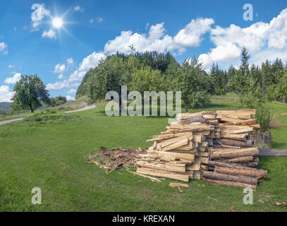 wrought firewood on a meadow in rural landscape with sun Stock Photo