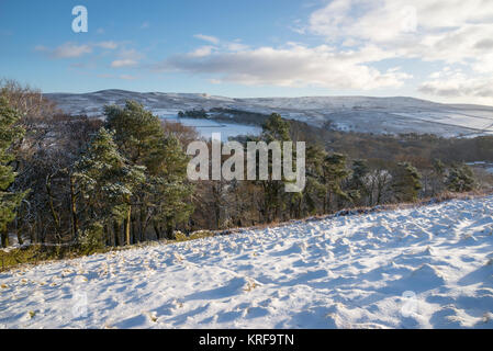 Beautiful winter morning in the High Peak. View to Kinder Scout from Lantern Pike near Hayfield in the Peak District. Stock Photo