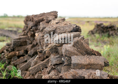 turf stacked up for the bog winds to dry in county kerry on the wild ...
