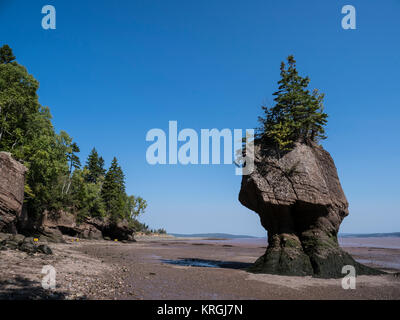 The Hopewell Or Flowerpot Rocks In The Bay Of Fundy New Brunswick Stock  Photo - Download Image Now - iStock