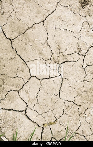 dry mud desert background texture Stock Photo