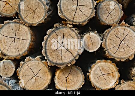 Log wood pile Stock Photo