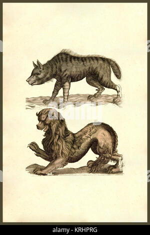 "sea creatures. From the 1642 book Monstrorum Historia by Ulisse ...
