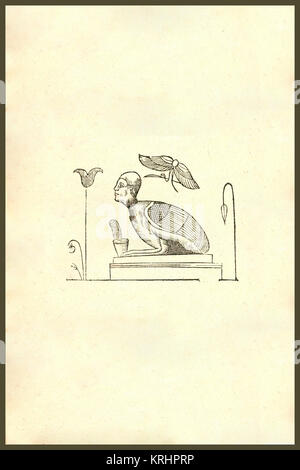 "Renaissance Woodcut monsters. From the 1642 book Monstrorum Historia ...