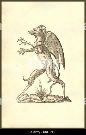 "Winged Creatures! From the 1642 book Monstrorum Historia by Ulisse ...