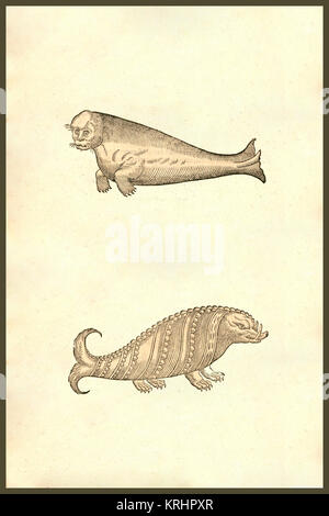 "Creatures! From the 1642 book Monstrorum Historia by Ulisse Aldrovandi ...