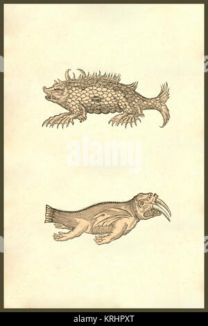 "sea creatures. From the 1642 book Monstrorum Historia by Ulisse ...