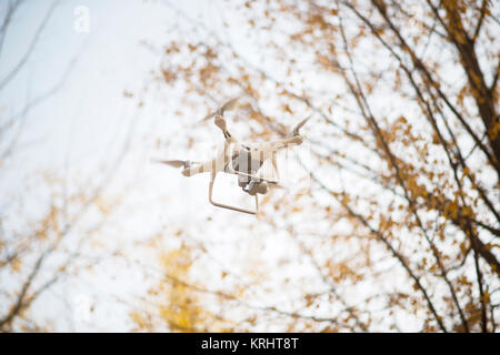 flying drone. Sunny green nature. Stock Photo