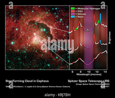 This image from NASA's Spitzer Space Telescope reveals the complex life cycle of young stars, from their dust-shrouded beginnings to their stellar debuts. The stellar nursery was spotted in a cosmic cloud sitting 21,000 light-years away in the Cepheus constellation.  A star is born when a dense patch gas and dust collapses inside a cosmic cloud. In the first million years of a star's life, it is hidden from visible-light view by the cloud that created it. Eventually as the star matures, its strong winds and radiation blow away surrounding material and the star fully reveals itself to the unive Stock Photo