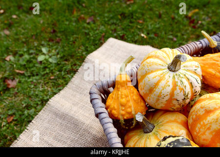 Boldly coloured and patterned gourds in a basket Stock Photo