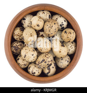 quail eggs in wooden bowl isolated on white background cutout. Stock Photo