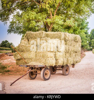 landscape with hay wagon Stock Photo