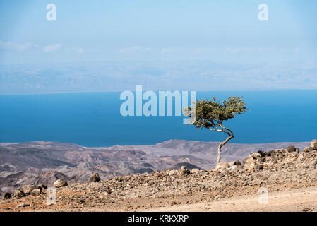 Arta beach of the Tadjoura gulf, Djibouti Stock Photo - Alamy