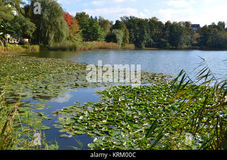 the burgsee in bad salzungen Stock Photo