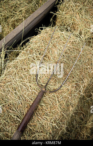 Old Wooden Farm Pitchfork Tool Implement Barn Equipment Stock Photo
