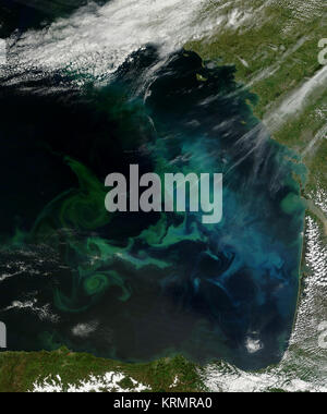 Phytoplankton bloom in the Bay of Biscay (8719944135) Stock Photo