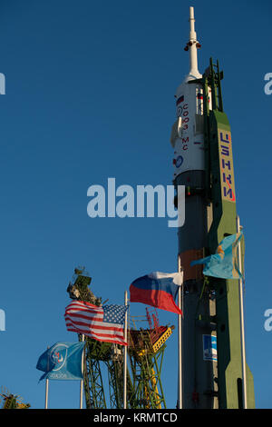 The Soyuz MS-02 spacecraft is seen after being raised into a vertical position on the launch pad, Sunday, Oct. 16, 2016 at the Baikonur Cosmodrome in Kazakhstan.  Expedition 49 flight engineer Shane Kimbrough of NASA, Soyuz commander Sergey Ryzhikov of Roscosmos, and flight engineer Andrey Borisenko of Roscosmos are scheduled to launch from the Baikonur Cosmodrome in Kazakhstan on Oct. 19.  Photo Credit: (NASA/Joel Kowsky) Expedition 49 Rollout (NHQ201610160023) Stock Photo
