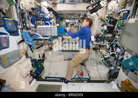 ISS-52 Peggy Whitson works inside the Harmony module Stock Photo