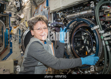 ISS-52 Peggy Whitson works on the Combustion Integrated Rack in the Destiny lab Stock Photo