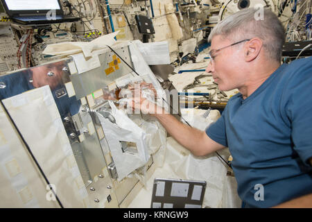 ISS-53 Mark Vande Hei works inside the Kibo lab Stock Photo