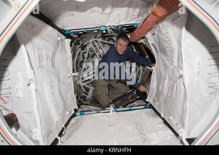 ISS-53 Paolo Nespoli works inside the BEAM Stock Photo